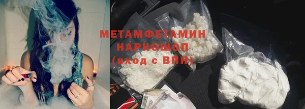 ГАЛЛЮЦИНОГЕННЫЕ ГРИБЫ Заволжье