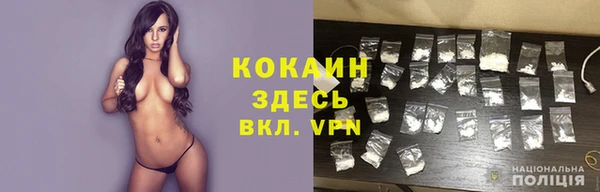 ГАЛЛЮЦИНОГЕННЫЕ ГРИБЫ Заволжье