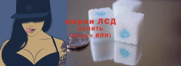 ГАЛЛЮЦИНОГЕННЫЕ ГРИБЫ Заволжье