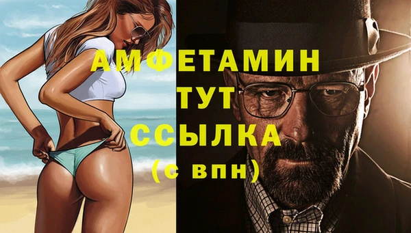 ГАЛЛЮЦИНОГЕННЫЕ ГРИБЫ Заволжье