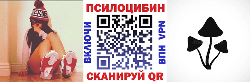 Галлюциногенные грибы Psilocybine cubensis  Каменка 