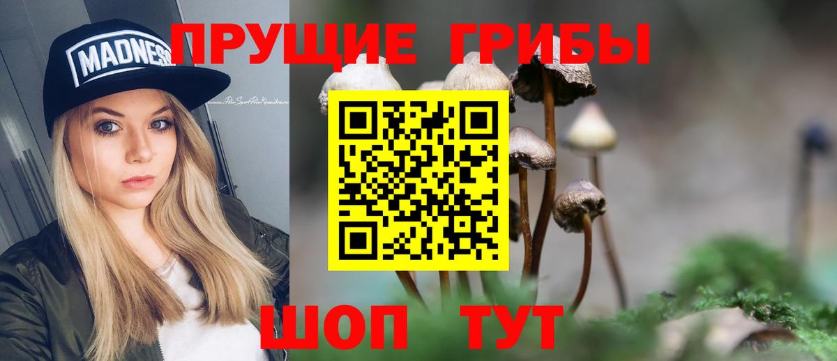 Псилоцибиновые грибы мицелий Каменка