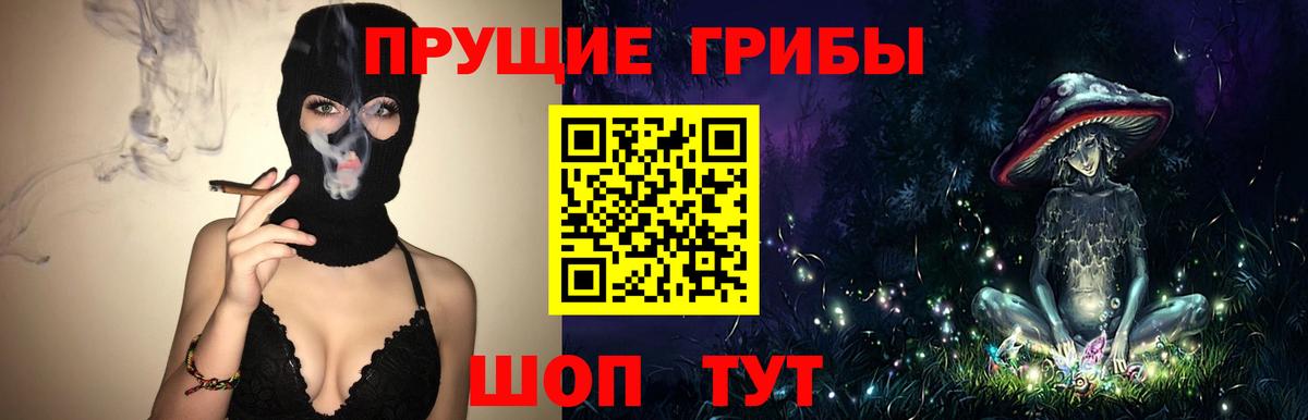 Каменка  Галлюциногенные грибы ЛСД  Вход с VPN  Псилоцибиновые грибы MAGIC MUSHROOMS 