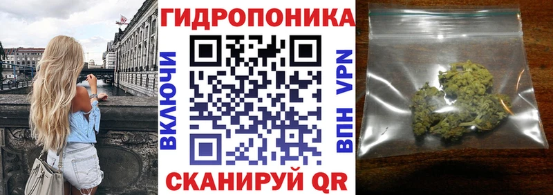 Каннабис SATIVA & INDICA  Каменка 
